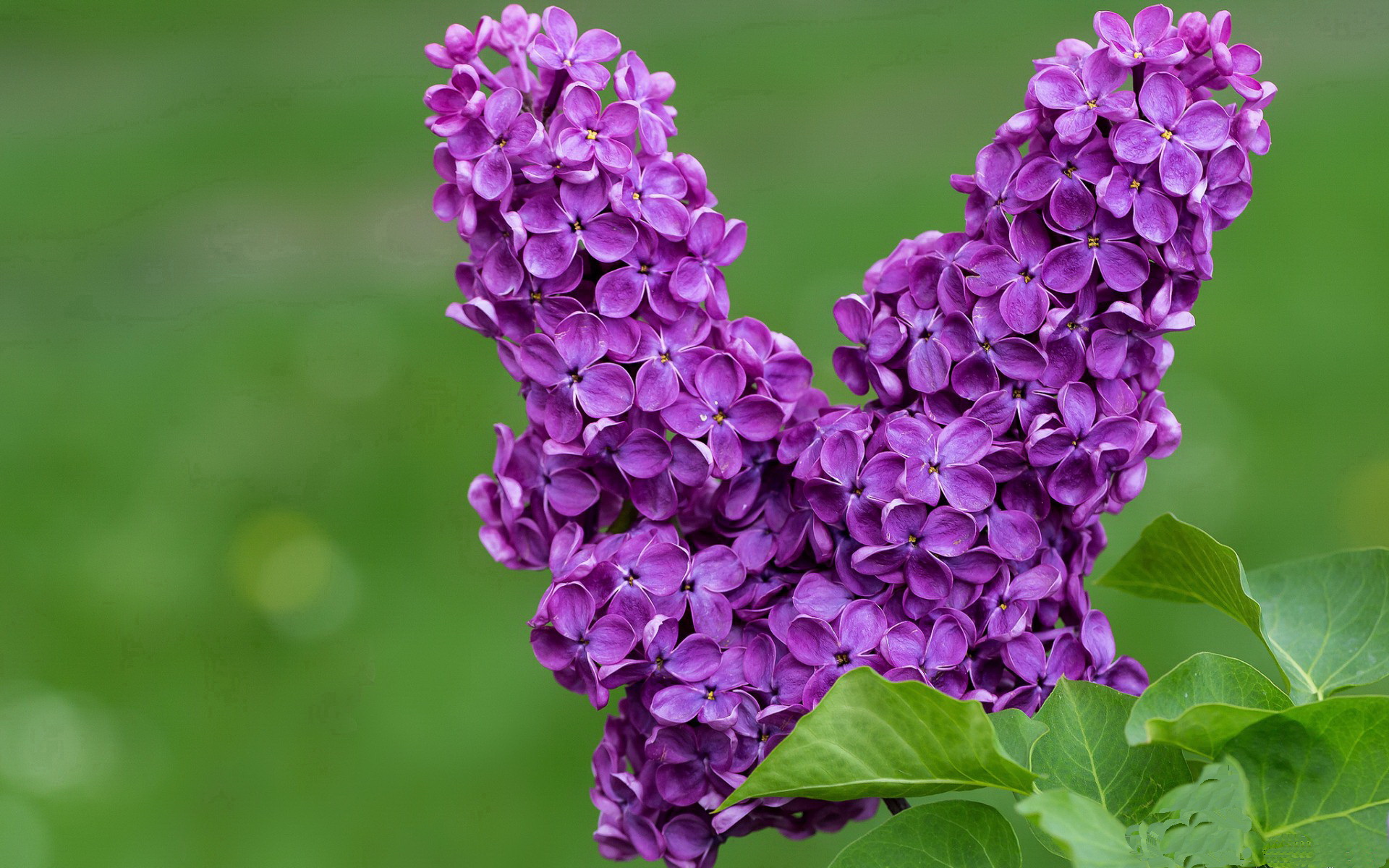 特色足球元素融入城市公共空间设计，提升城市文化气息，足球特色园园所标语