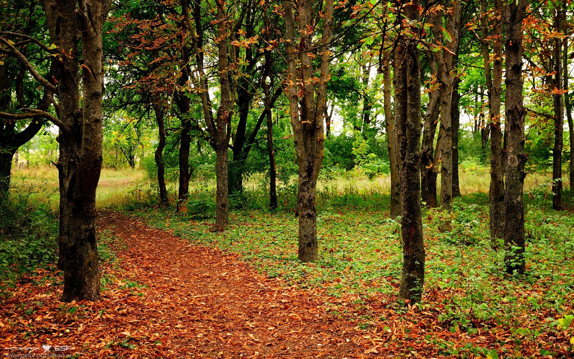 篮球联赛季后赛战况汇总，篮球比赛季后赛什么意思